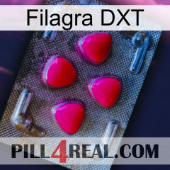 Filagra DXT 13